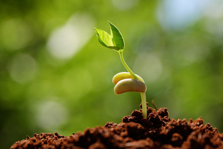 Vermont Web Design - Web Design for Growth